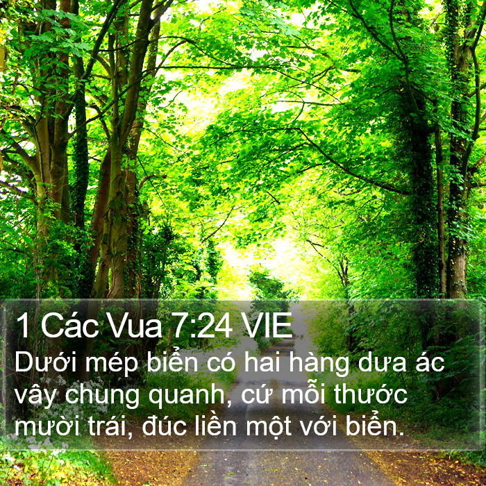 1 Các Vua 7:24 VIE Bible Study