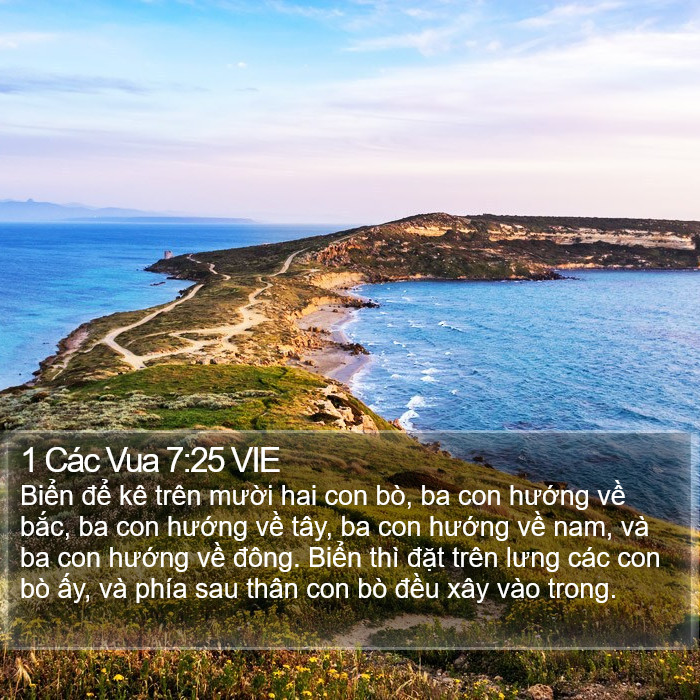 1 Các Vua 7:25 VIE Bible Study