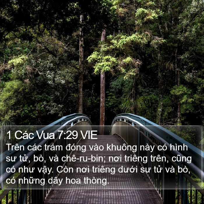 1 Các Vua 7:29 VIE Bible Study