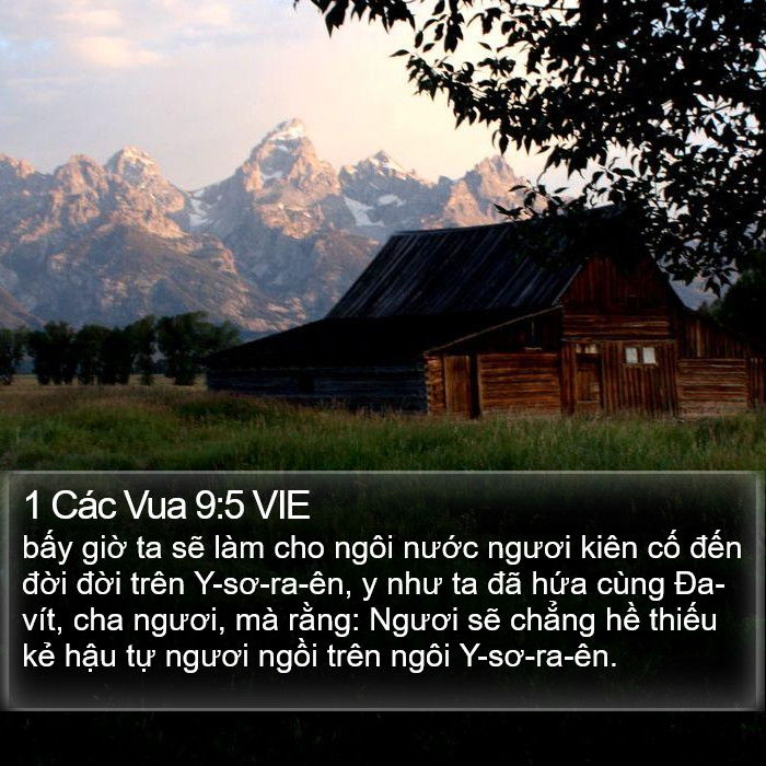 1 Các Vua 9:5 VIE Bible Study