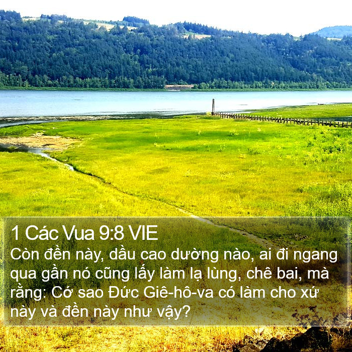 1 Các Vua 9:8 VIE Bible Study