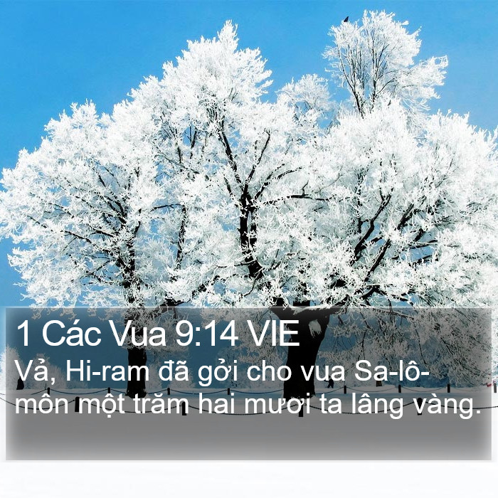 1 Các Vua 9:14 VIE Bible Study