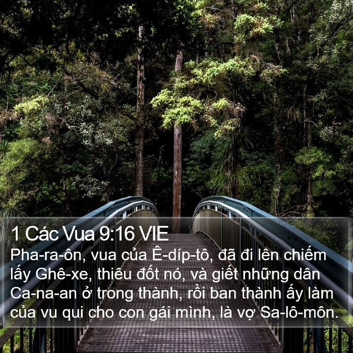 1 Các Vua 9:16 VIE Bible Study