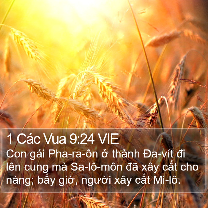 1 Các Vua 9:24 VIE Bible Study