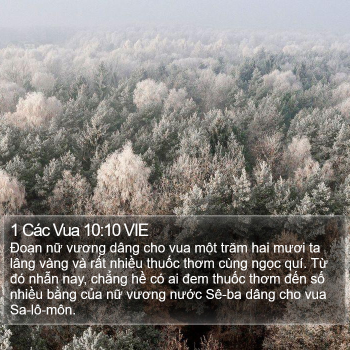 1 Các Vua 10:10 VIE Bible Study