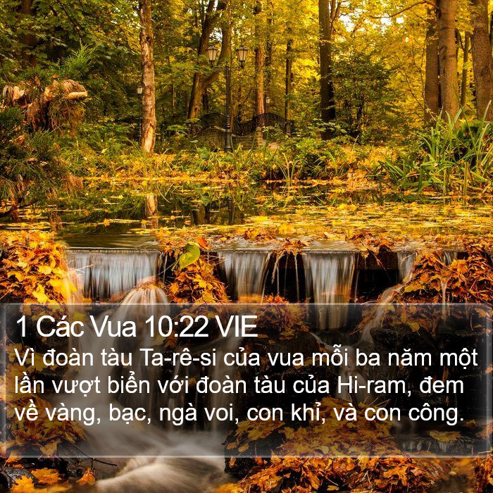 1 Các Vua 10:22 VIE Bible Study