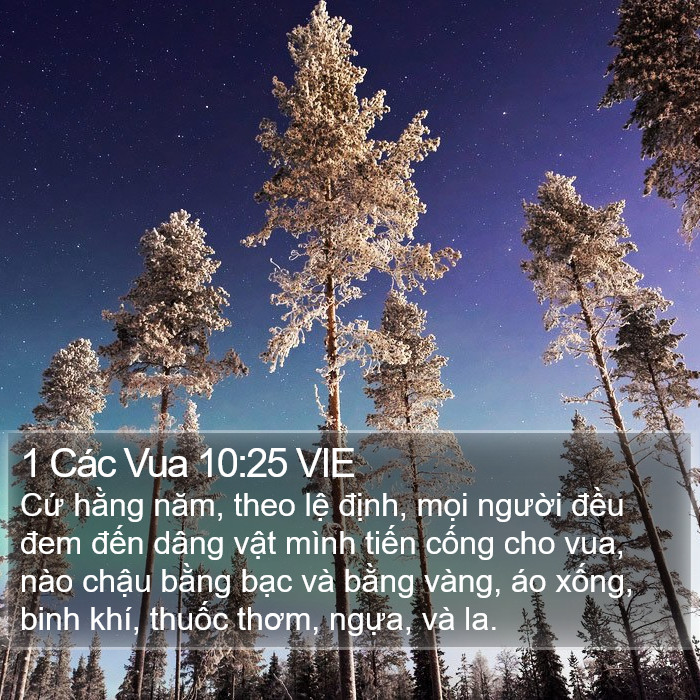 1 Các Vua 10:25 VIE Bible Study