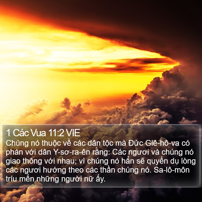1 Các Vua 11:2 VIE Bible Study