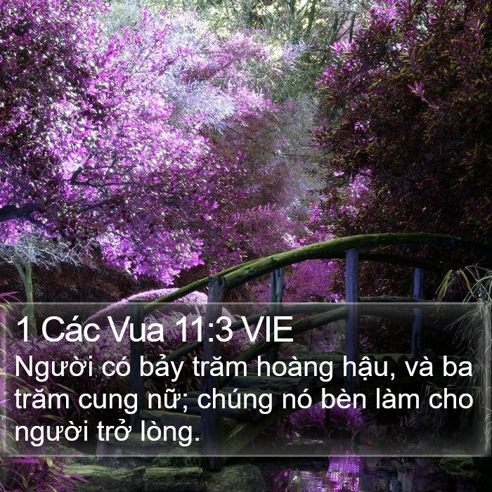 1 Các Vua 11:3 VIE Bible Study