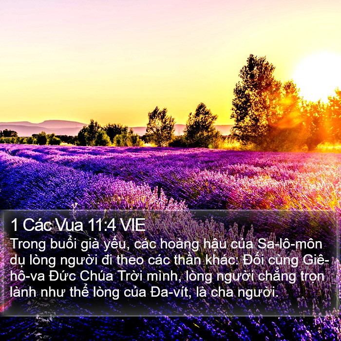 1 Các Vua 11:4 VIE Bible Study