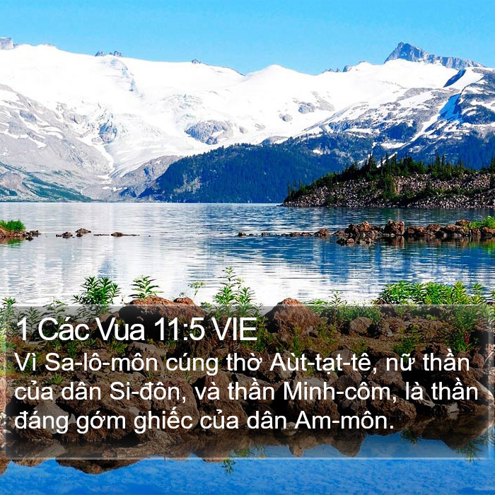 1 Các Vua 11:5 VIE Bible Study