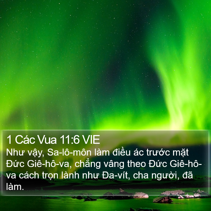 1 Các Vua 11:6 VIE Bible Study