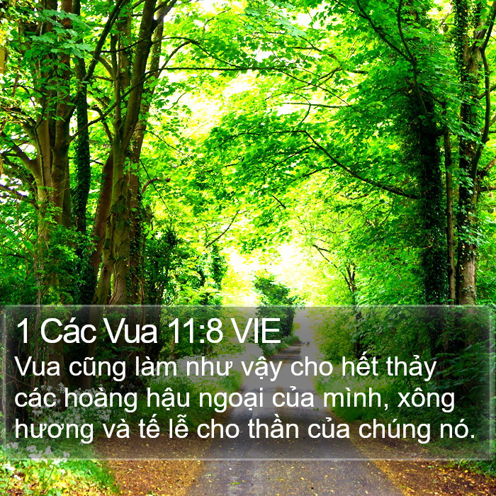 1 Các Vua 11:8 VIE Bible Study