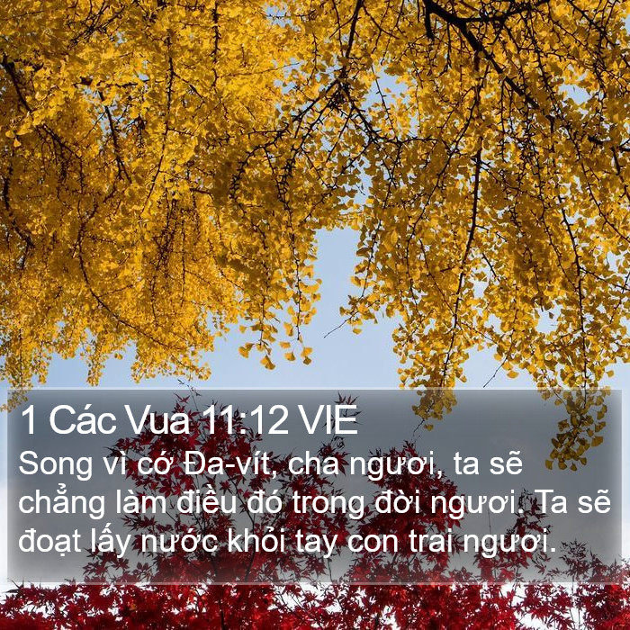 1 Các Vua 11:12 VIE Bible Study