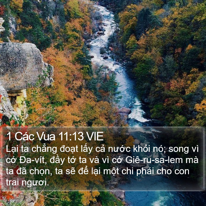 1 Các Vua 11:13 VIE Bible Study
