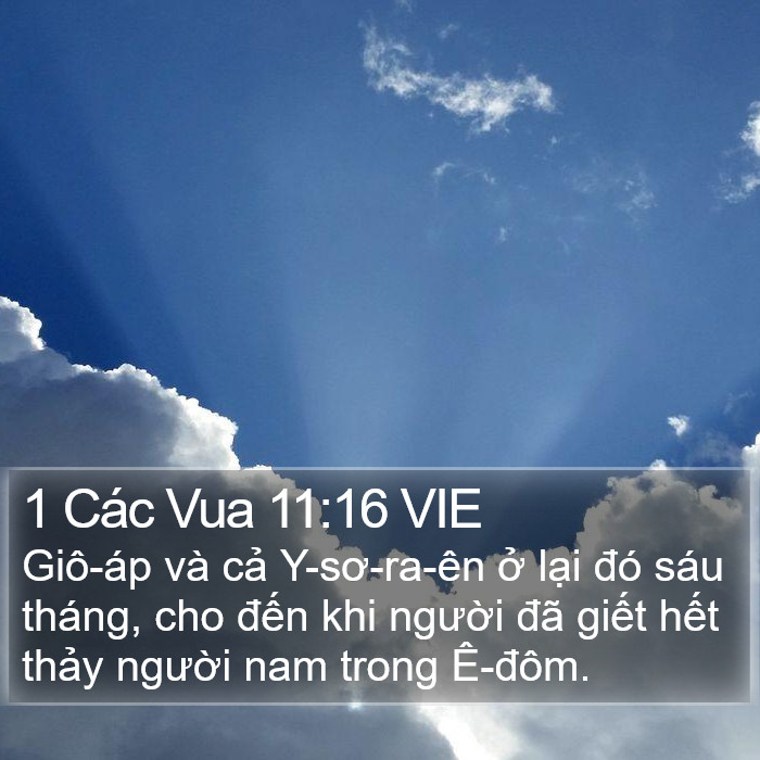 1 Các Vua 11:16 VIE Bible Study