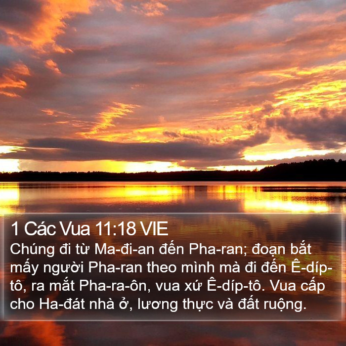 1 Các Vua 11:18 VIE Bible Study