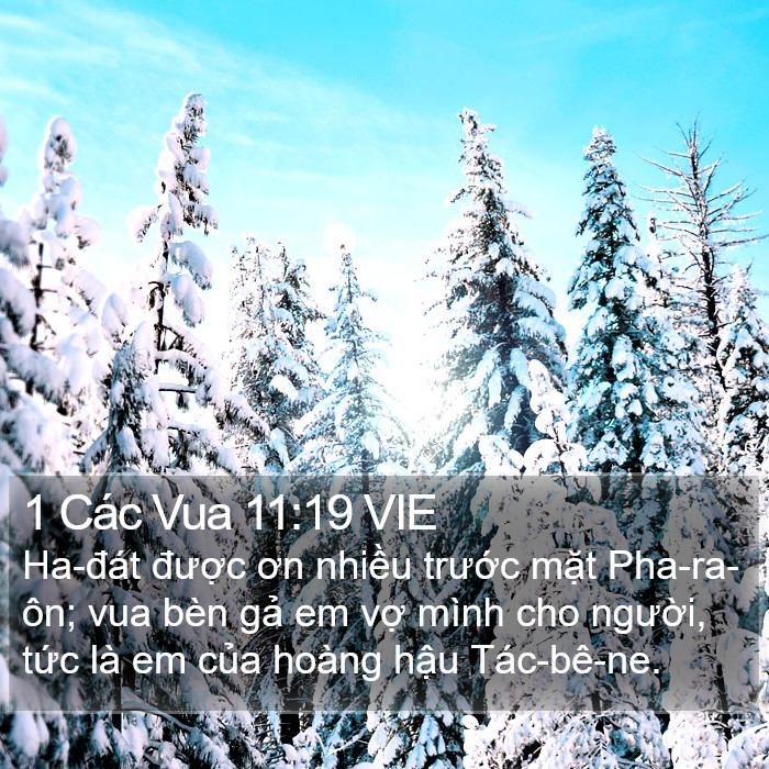 1 Các Vua 11:19 VIE Bible Study