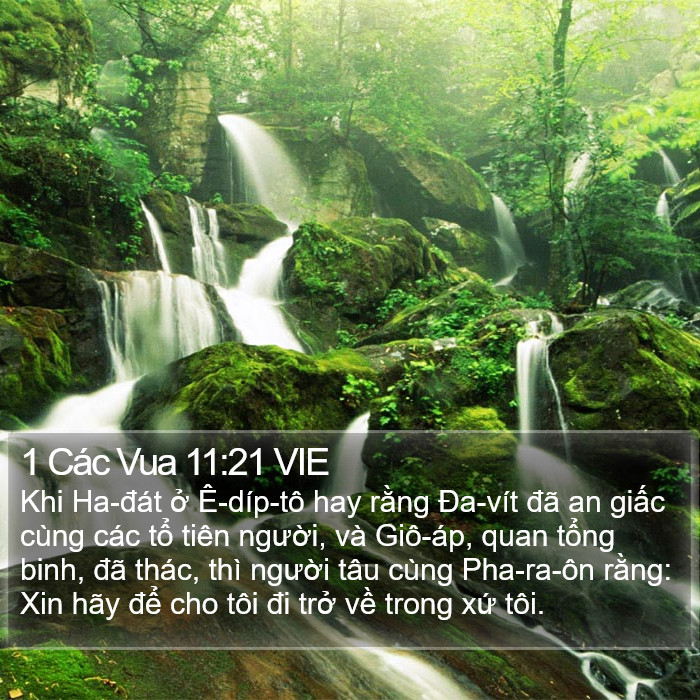 1 Các Vua 11:21 VIE Bible Study