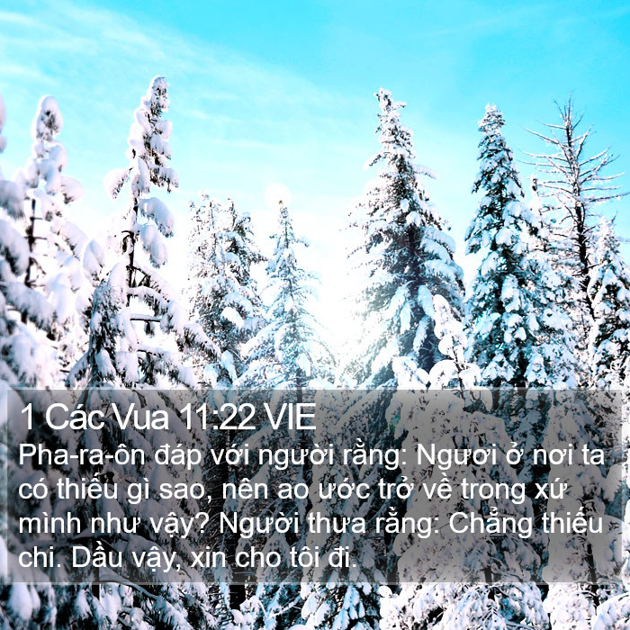 1 Các Vua 11:22 VIE Bible Study
