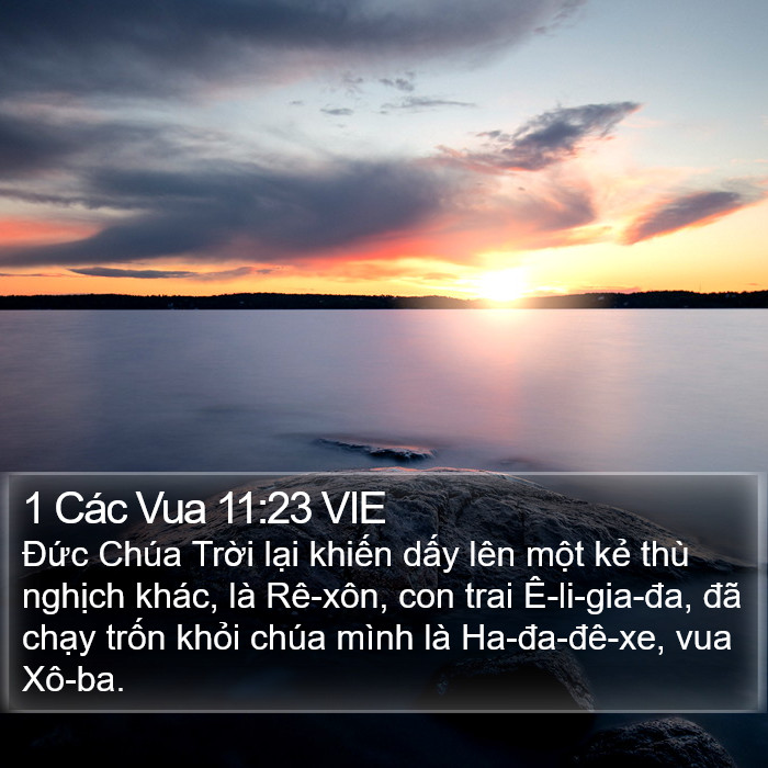 1 Các Vua 11:23 VIE Bible Study