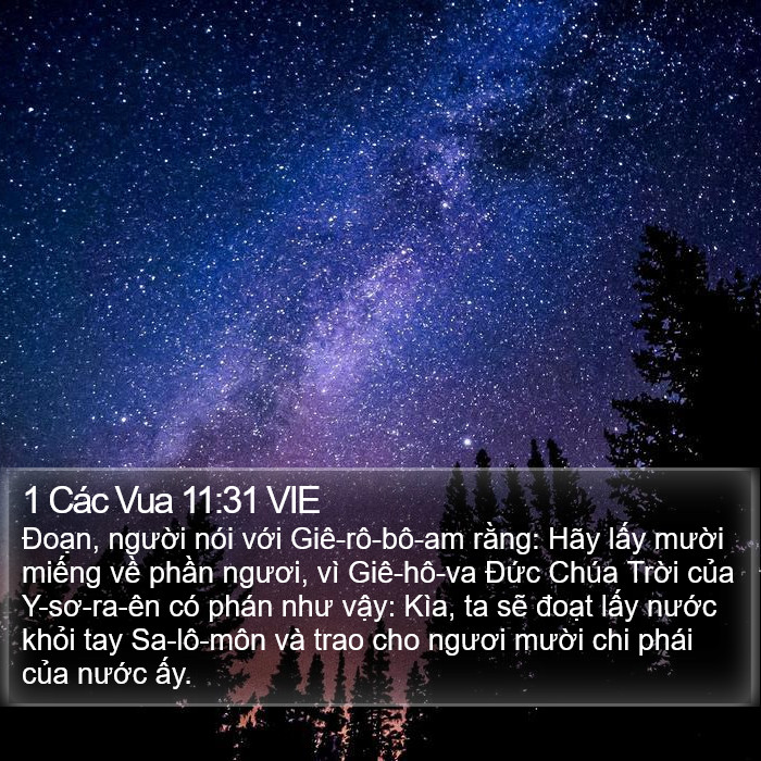 1 Các Vua 11:31 VIE Bible Study