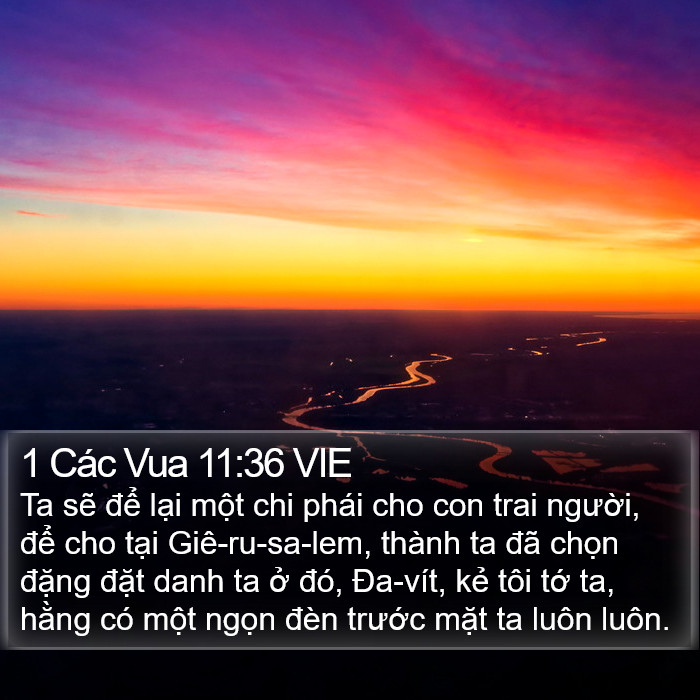 1 Các Vua 11:36 VIE Bible Study