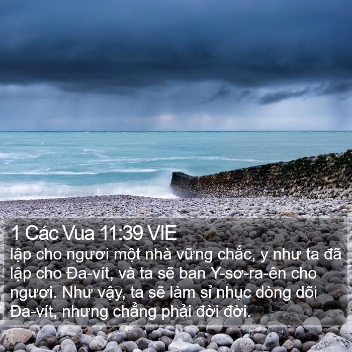1 Các Vua 11:39 VIE Bible Study