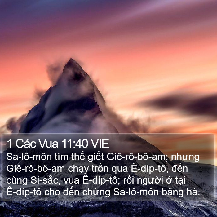 1 Các Vua 11:40 VIE Bible Study