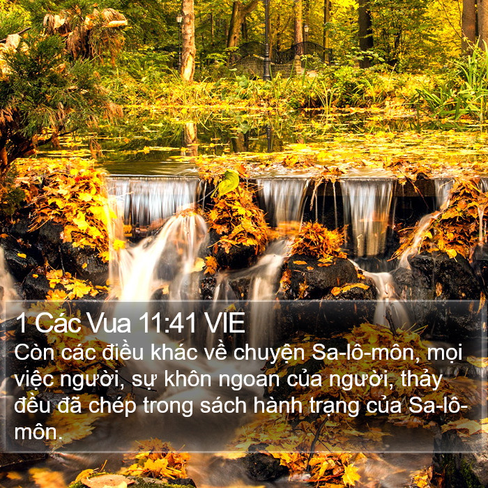 1 Các Vua 11:41 VIE Bible Study