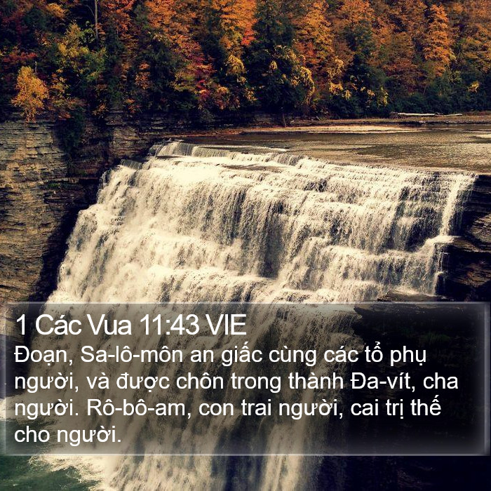 1 Các Vua 11:43 VIE Bible Study