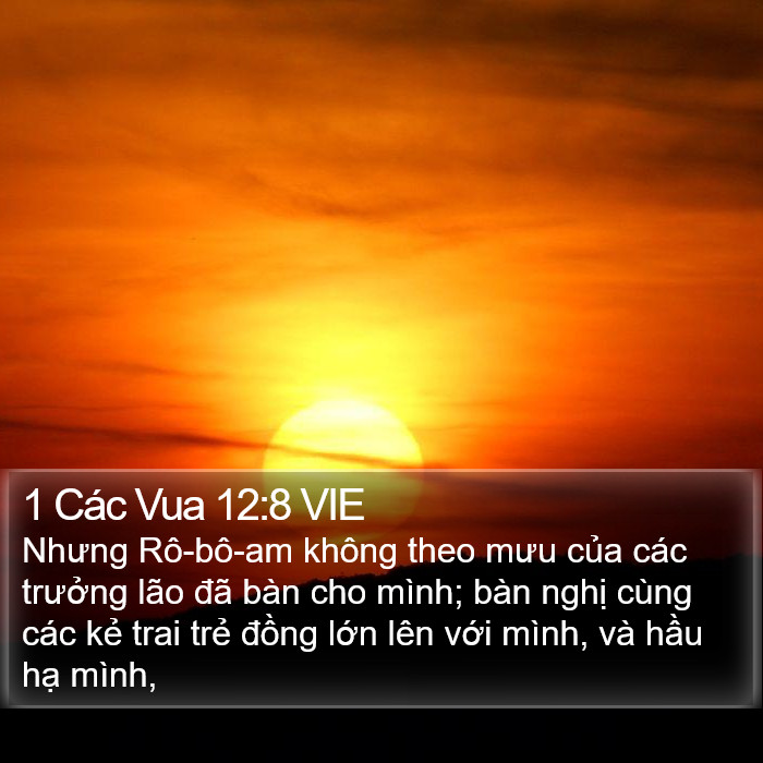 1 Các Vua 12:8 VIE Bible Study