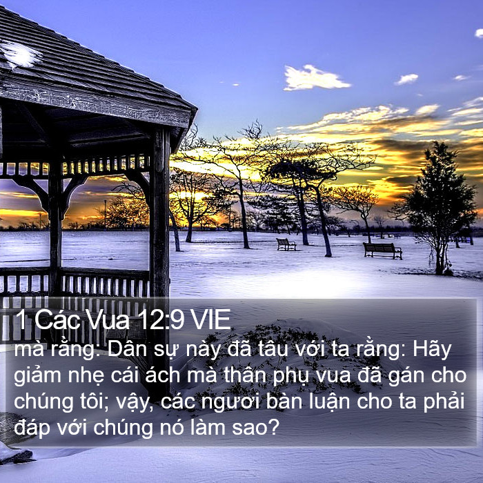 1 Các Vua 12:9 VIE Bible Study