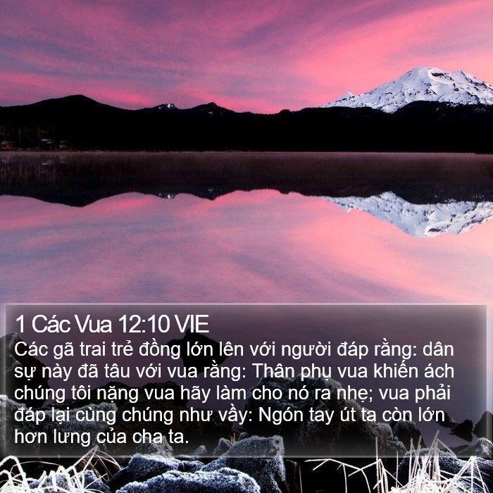 1 Các Vua 12:10 VIE Bible Study