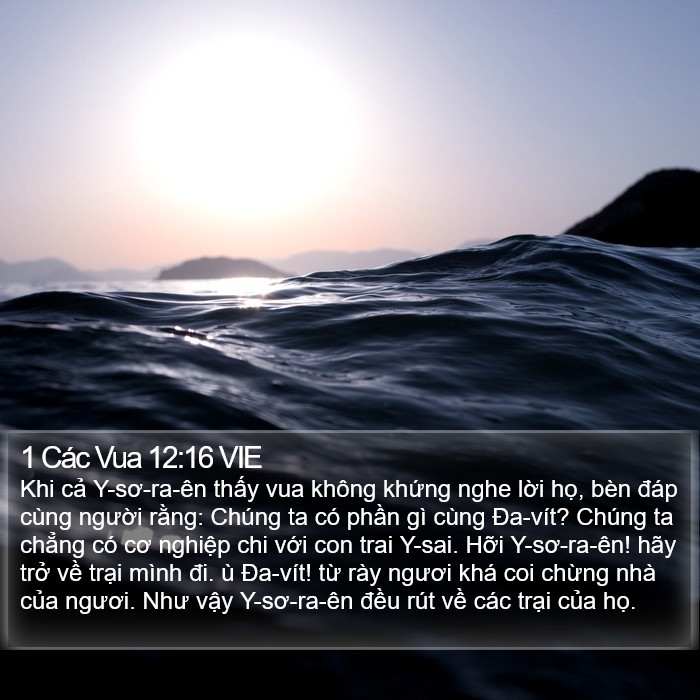 1 Các Vua 12:16 VIE Bible Study