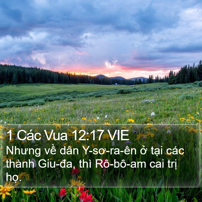 1 Các Vua 12:17 VIE Bible Study