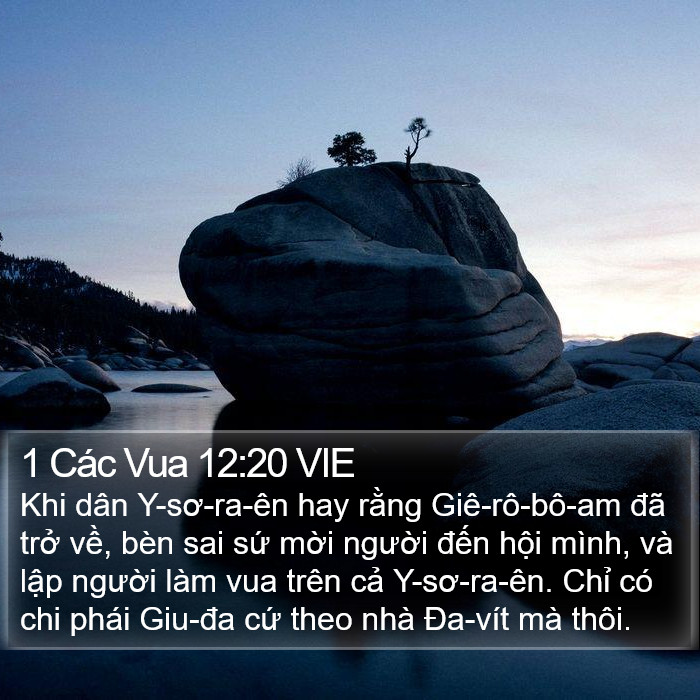 1 Các Vua 12:20 VIE Bible Study