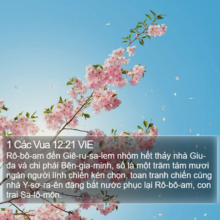1 Các Vua 12:21 VIE Bible Study