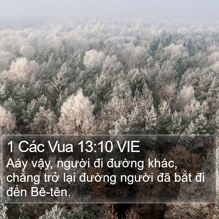 1 Các Vua 13:10 VIE Bible Study