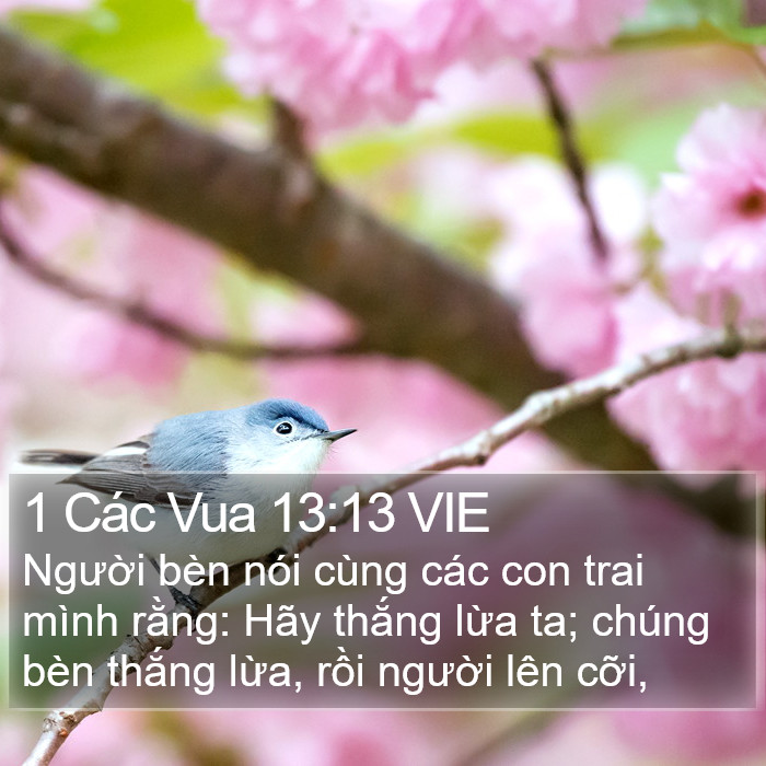 1 Các Vua 13:13 VIE Bible Study