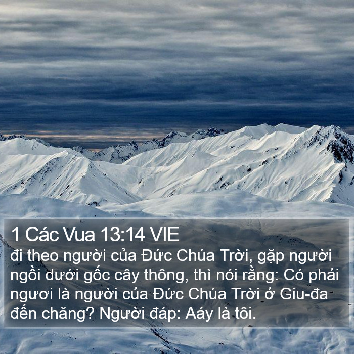 1 Các Vua 13:14 VIE Bible Study