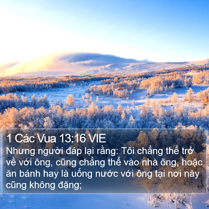 1 Các Vua 13:16 VIE Bible Study