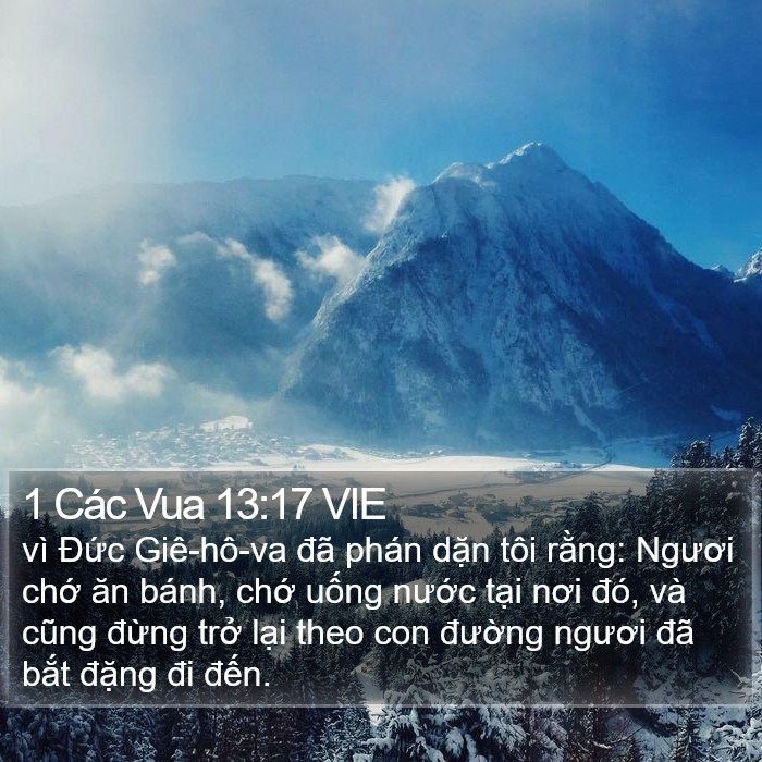 1 Các Vua 13:17 VIE Bible Study
