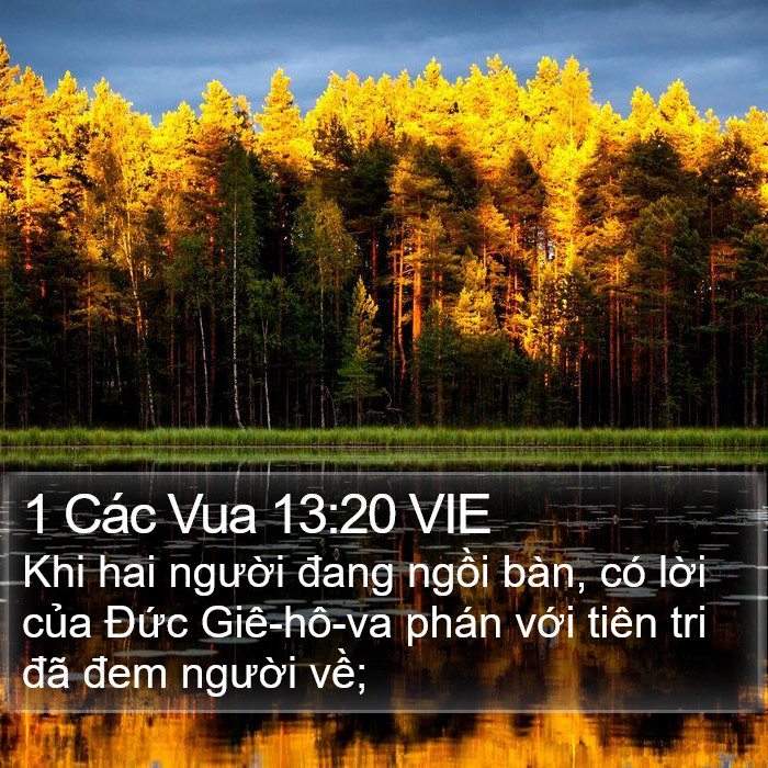 1 Các Vua 13:20 VIE Bible Study