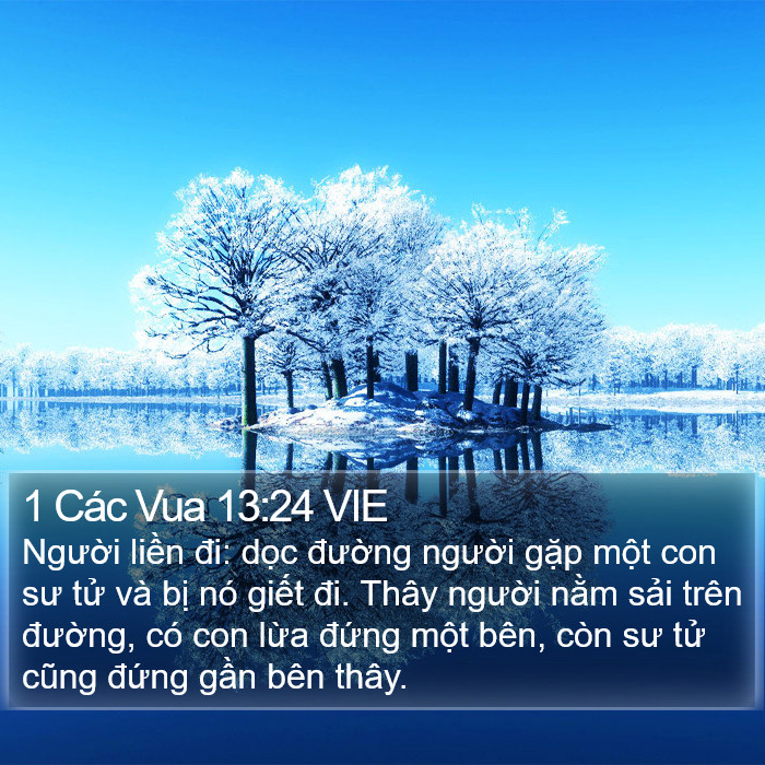 1 Các Vua 13:24 VIE Bible Study