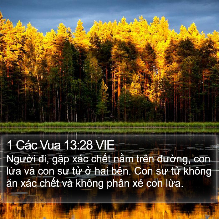 1 Các Vua 13:28 VIE Bible Study