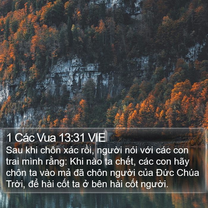 1 Các Vua 13:31 VIE Bible Study