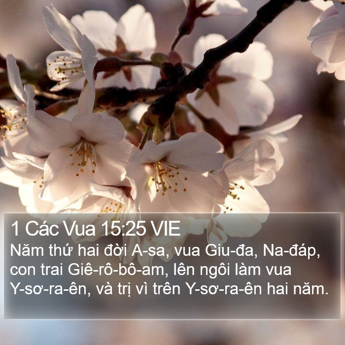 1 Các Vua 15:25 VIE Bible Study