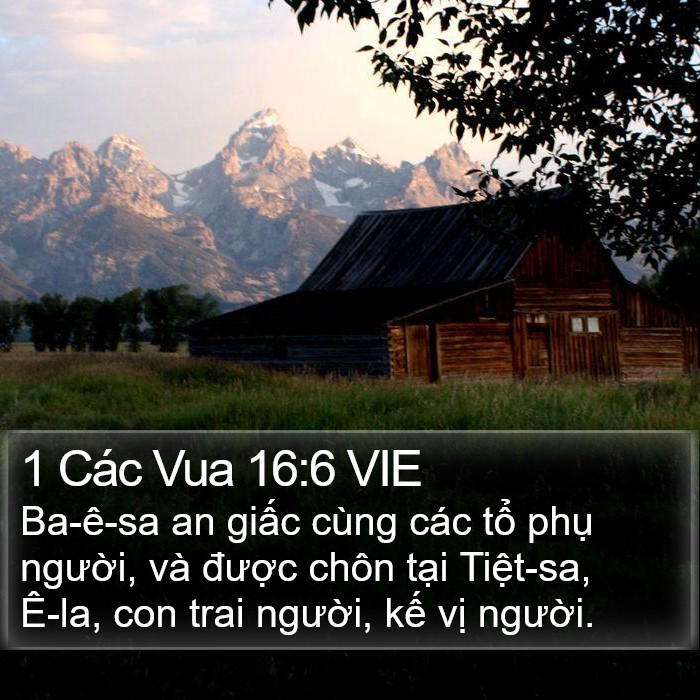 1 Các Vua 16:6 VIE Bible Study
