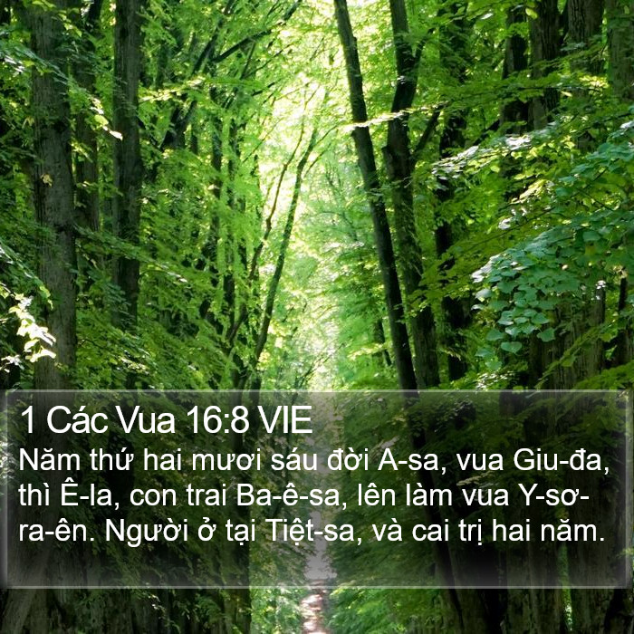 1 Các Vua 16:8 VIE Bible Study